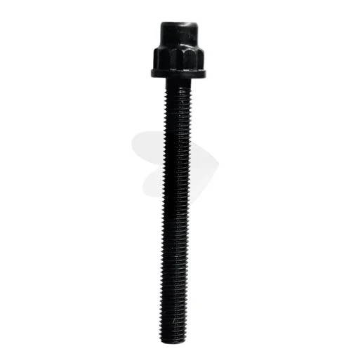 sagro1-1641006
