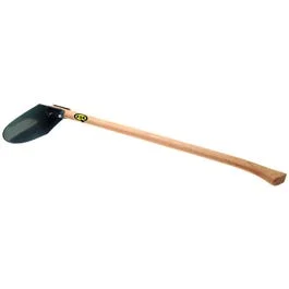 swedol1-1795903